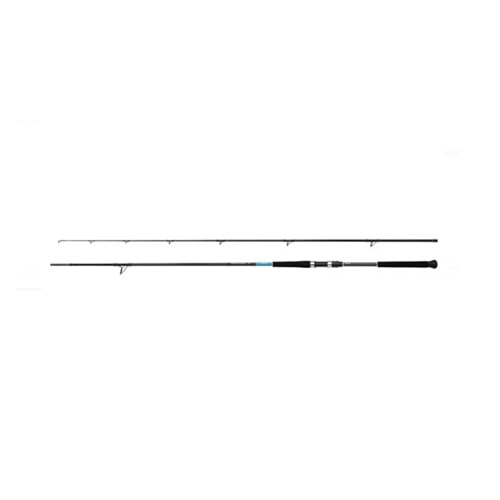 Shimano Kamış Bassterra XT Shore Jigging 10'0